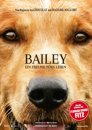 Bailey - Poster